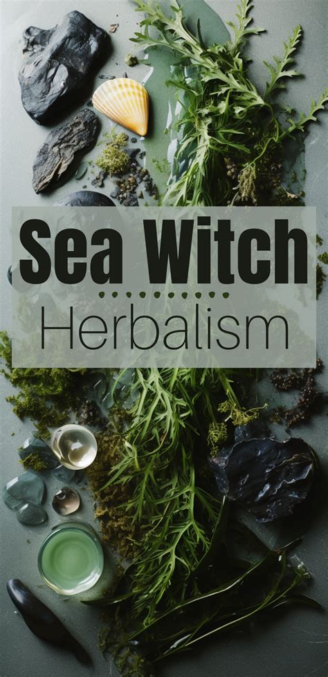 Creating Seaweed Amulets and Talismans: A Guide with the Seaweed Witch Peabody